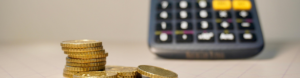 Quanto Rende R$ 10.000 no Tesouro Selic com a Alta para 13,25%? Descubra se Vale a Pena Investir