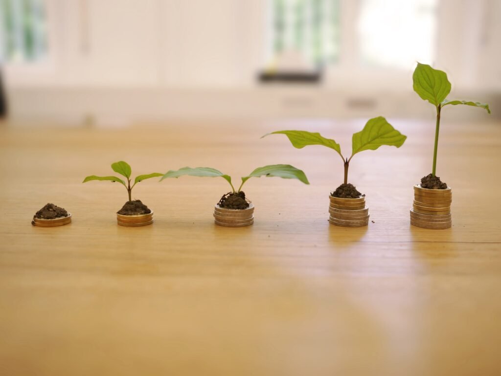 Renda Fixa vs. Renda Variável: Onde Investir Seu Dinheiro?